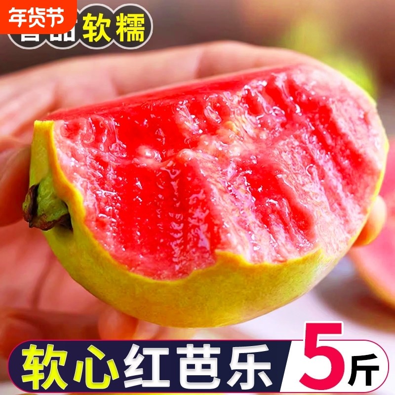 树熟软甜奶油胭脂红芭乐水果红心芭乐当季新鲜番石榴5斤顺丰包邮,水产肉类/新鲜蔬果/熟食,番石榴/芭乐,淘宝优惠券,粉丝福利购,淘宝优惠卷