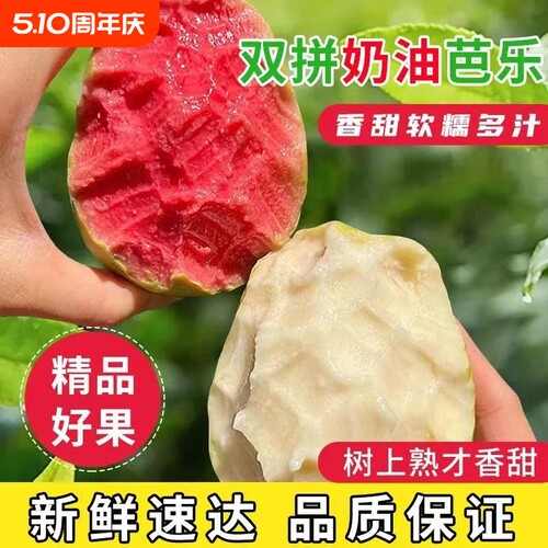 红白双拼软红心白芭乐奶油番石榴白心脆甜批发新鲜树上熟冰淇淋