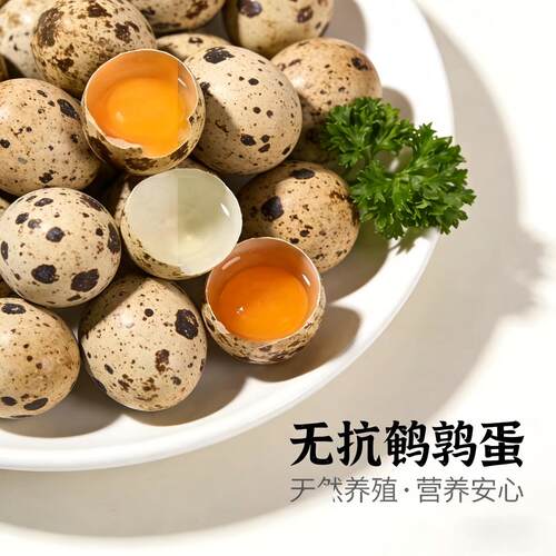 新鲜无抗鹌鹑蛋生鲜蛋健康好蛋50枚/盒源头直发国货安全优质农场