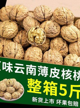 核桃2026新货云南纸皮核桃带壳