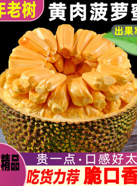 海南三亚干苞黄肉菠萝蜜