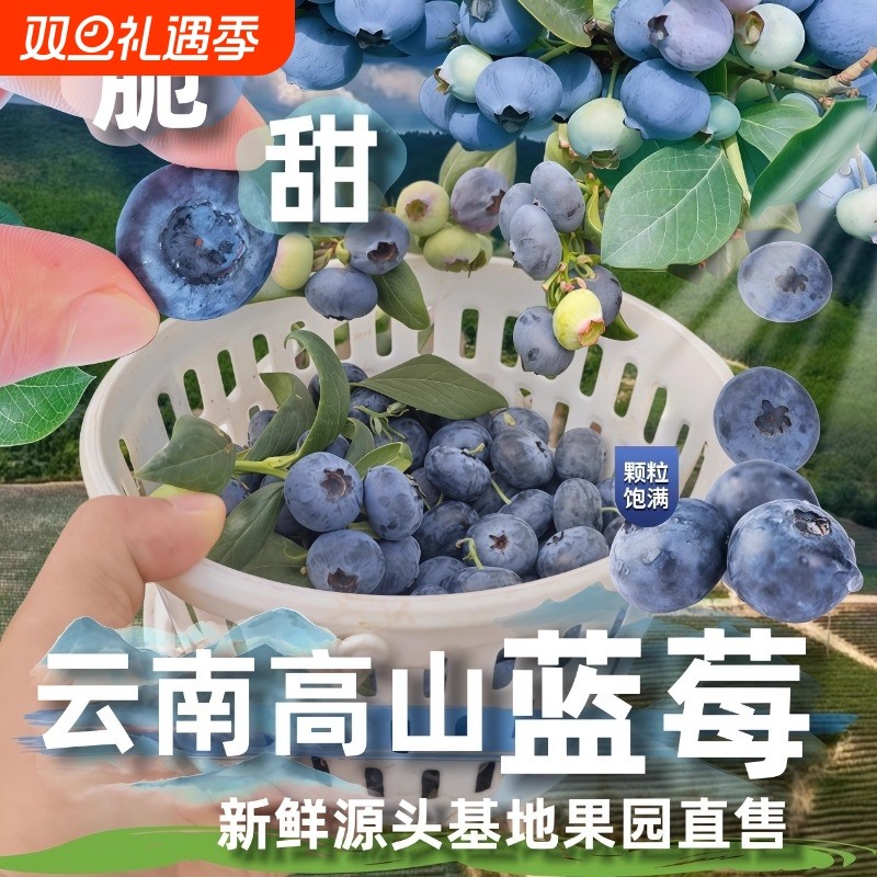 顺丰云南花香高山蓝莓蓝杯大礼盒装新鲜果水果大果现摘巨无霸优选