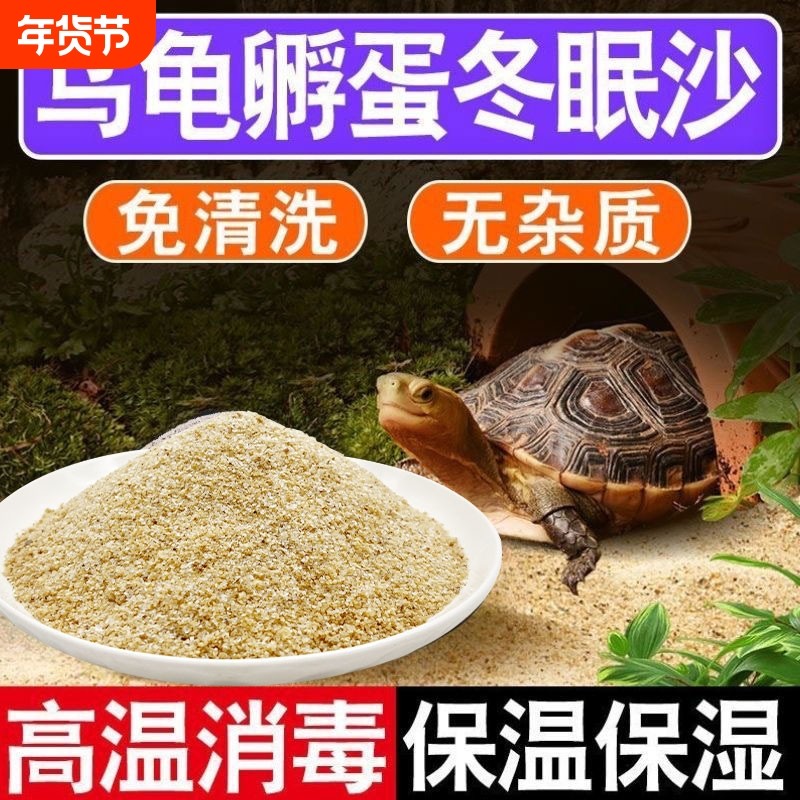 乌龟冬眠孵化产蛋细沙子龟缸造景装饰巴西龟铺底专用石头河沙苔藓