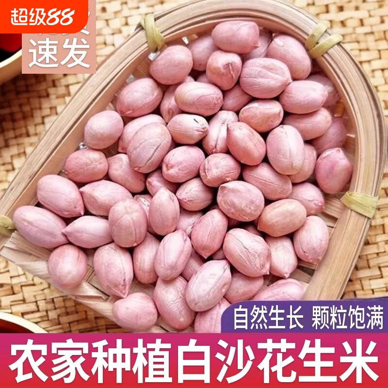 花生米新货大颗粒白沙花生种子批图片