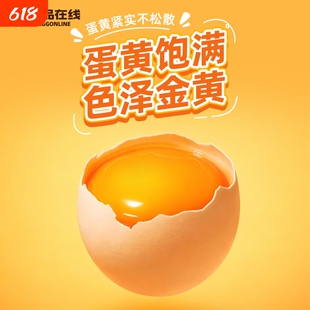 广东走地土鸡蛋30枚新鲜农村农家散养自养柴鸡蛋笨鸡蛋草鸡蛋整箱
