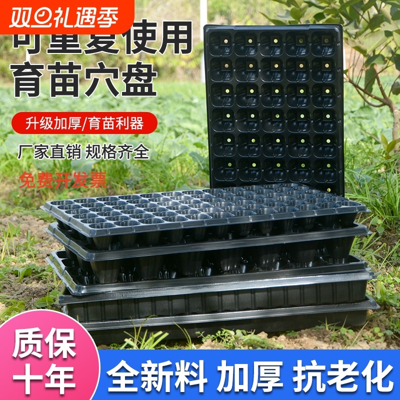 育苗塑料营养钵穴盘培育盆