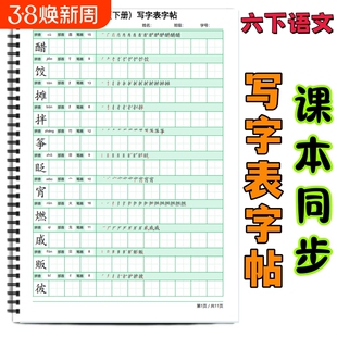 六年级下册课本同步写字表练字帖小学语文生字同步练习笔顺练字贴一二三四五六年级上下册练字帖每日打卡B款