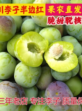 正宗四川五月脆红李脱骨李子应季新鲜茵红李半边红水果青脆酸甜李