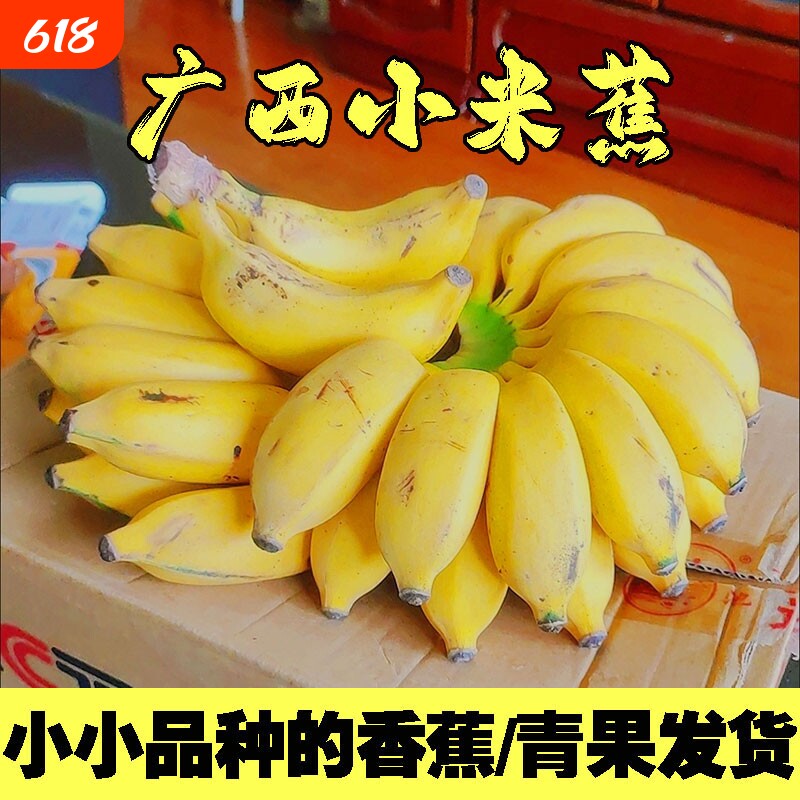 【礼金一步12】广西正宗小米蕉净重4.5斤