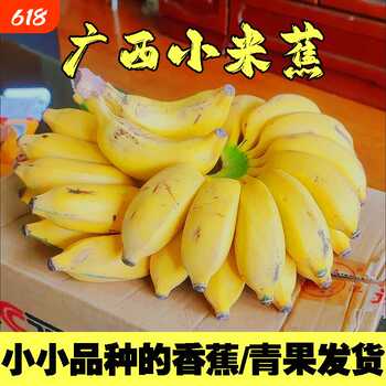 【礼金一步12】广西正宗小米蕉净重4.5斤券后12元包邮