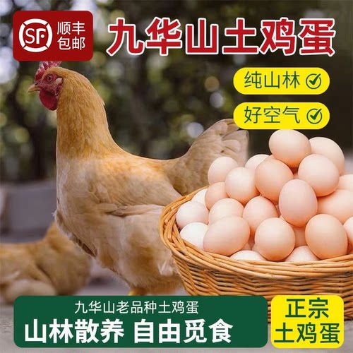 九华山农家散养土鸡蛋新鲜皖南