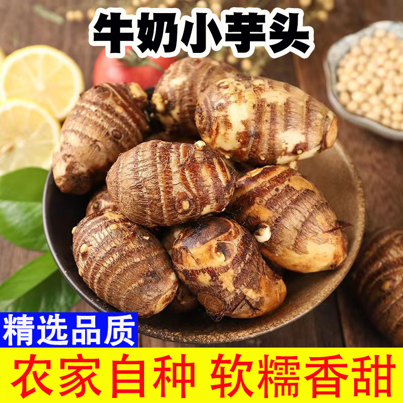 2025正宗现挖新鲜小芋头软糯香甜批发自种白芽艿芋香芋软糯毛芋头