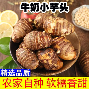 2025正宗现挖新鲜小芋头软糯香甜批发自种白芽艿芋香芋软糯毛芋头