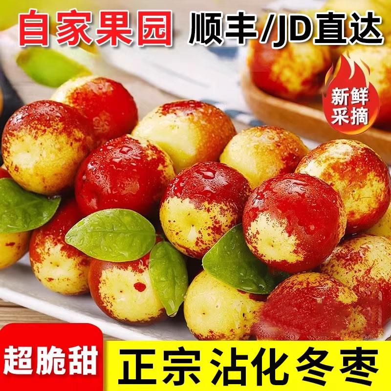 正宗沾化冬枣新鲜应当季水果礼盒脆甜枣子大整箱5斤产地直发