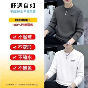 打底衫 啄木鸟卫衣男春秋新款 男士 加绒长袖 潮纯棉贴身 休闲圆领冬季