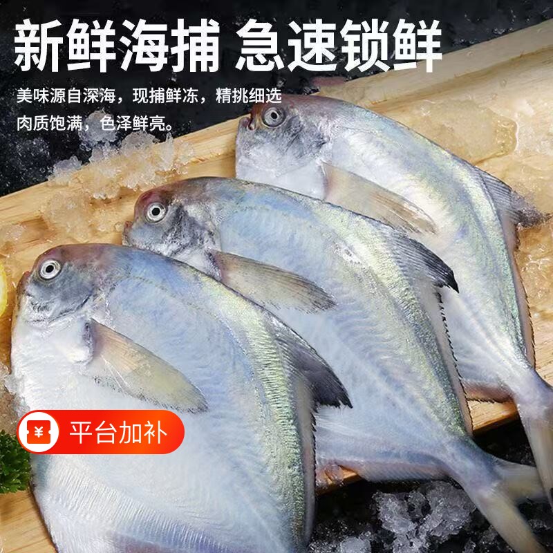 国产银鲳鱼鲳鱼新鲜冷冻小鲳鱼海产海鲜水产批发商用深海海捕