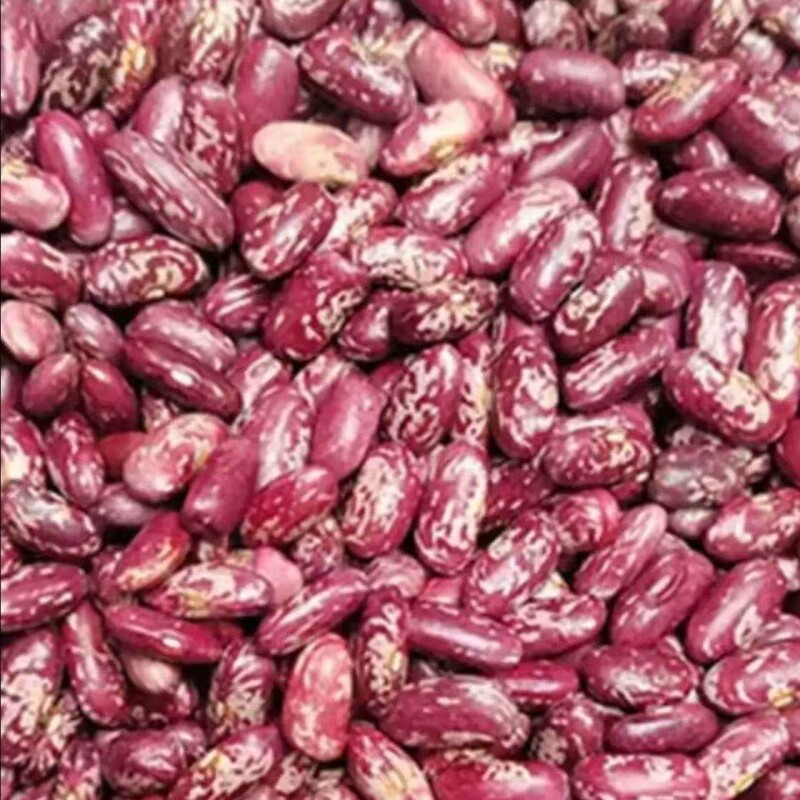 花豆贵州特产红芸豆四季豆贵州新花豆红豆米酸菜豆米