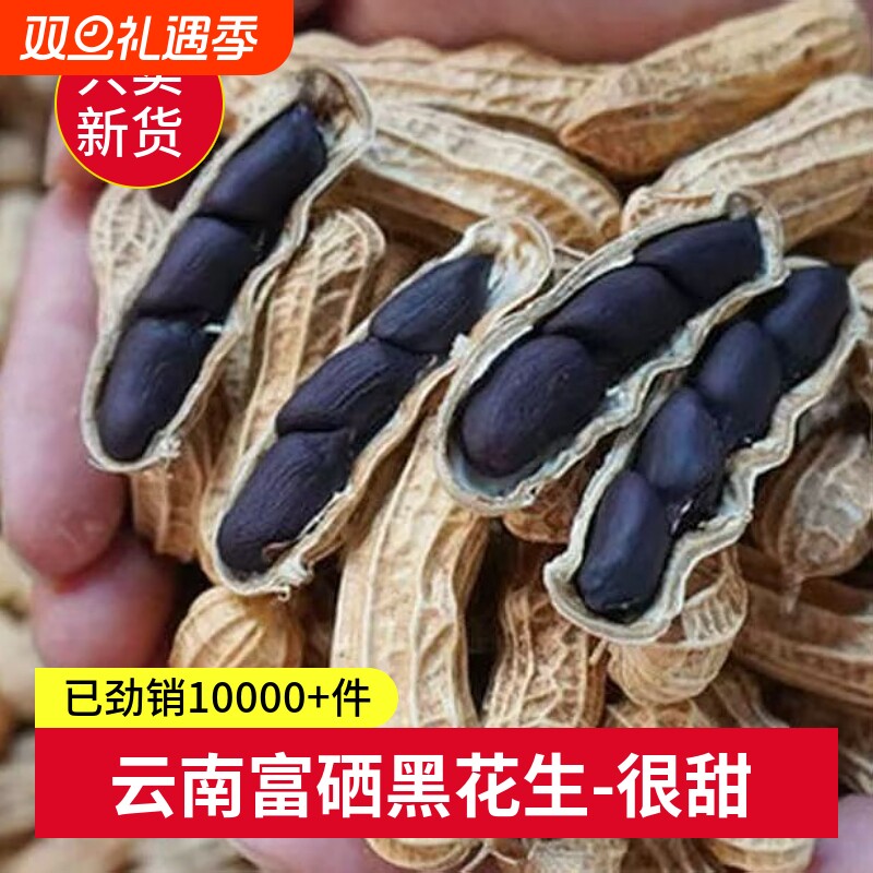 云南黑花生富硒黑花生普洱2025新货晒干黑花生种带壳黑皮花生米
