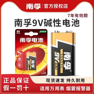 南孚9V九伏碱性电池6LR61万能用表层叠方块形6F22话筒玩具麦克风碱性九伏无线话筒烟雾报警器万能表遥控器
