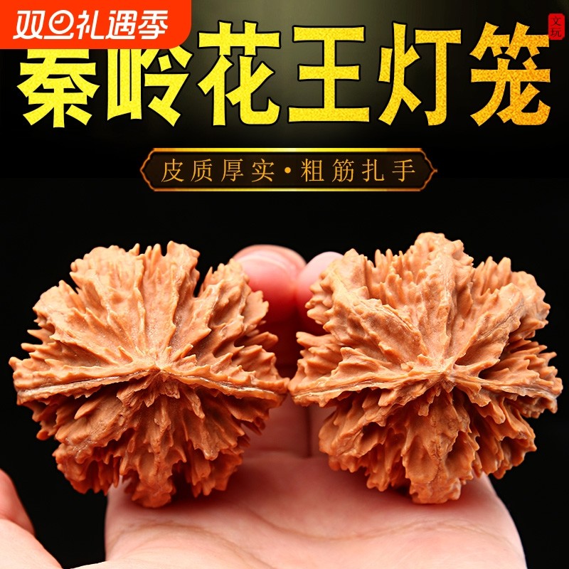 秦岭花王核桃粗筋多棱大刺霸气男女把玩盘玩文玩核桃大尺寸手把件