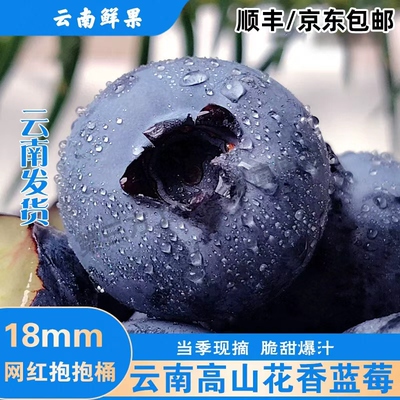 云南花香蓝莓鲜果新鲜高端水果