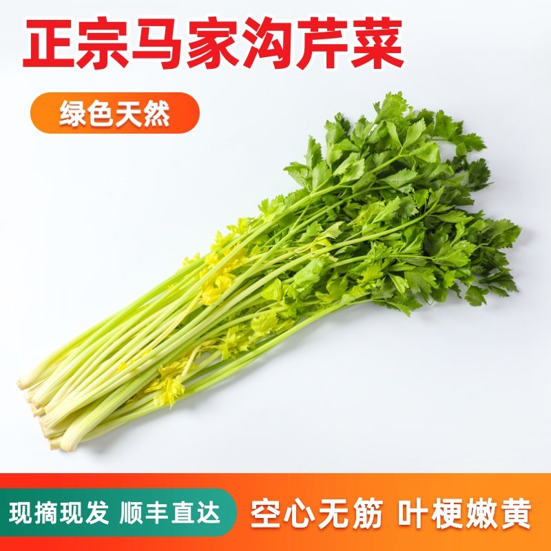 青岛平度马家沟芹菜产地直发空心芹菜芯新鲜蔬菜顺丰包邮现挖现发