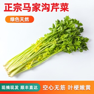 青岛平度马家沟芹菜产地直发空心芹菜芯新鲜蔬菜顺丰包邮现挖现发