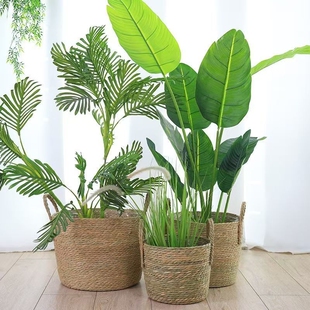 藤编绿植花篮轻奢家装必备打造独特家居装饰造型美观时尚