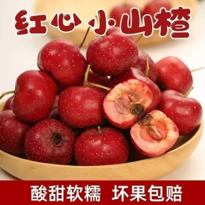 山楂鲜果新鲜小金星现摘山里红小果甜红子小山楂糖雪球首选