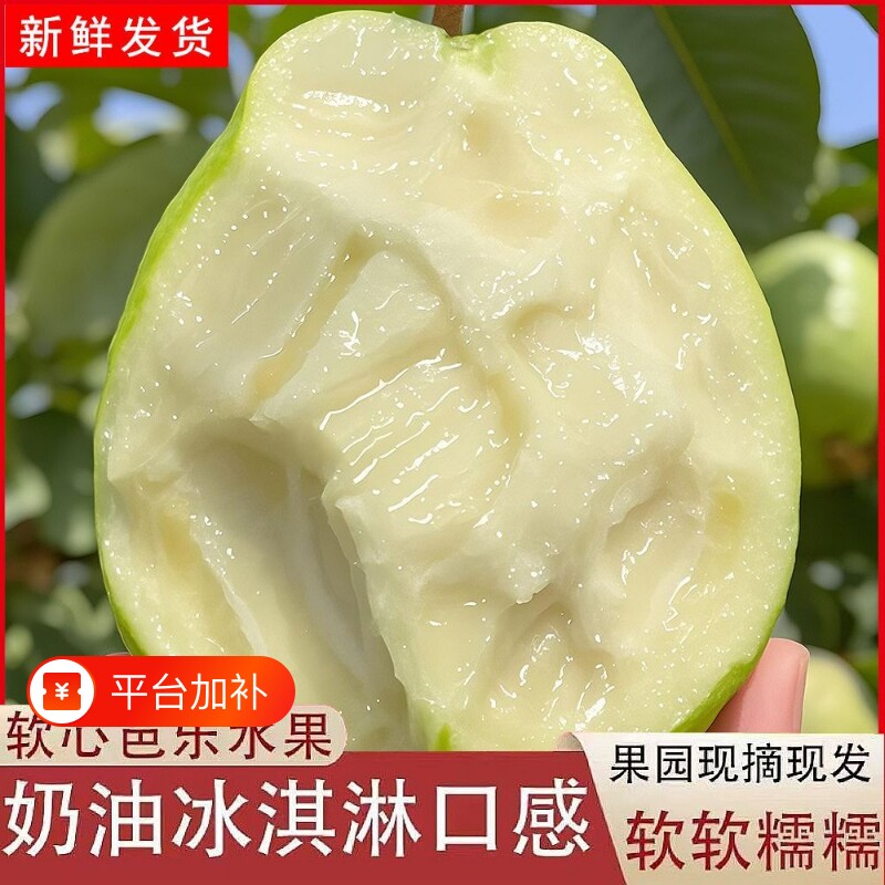 正宗广东白心芭乐软糯软心奶油新鲜番石榴脆甜当季水果整箱批发