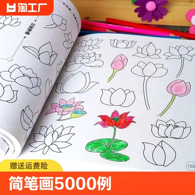 儿童简笔画入门5000例一本就够 儿童绘画教材大全3-6岁幼儿涂色益智绘画本填色书 宝宝学画画书图画书绘画册自学零基础手绘本素材