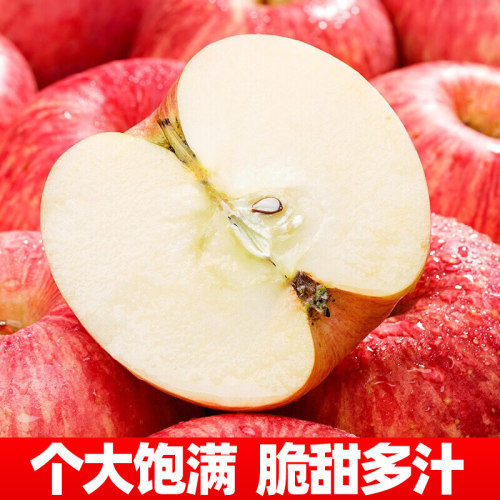 正宗山东烟台红富士苹果新鲜水果脆甜应季栖霞红苹果整箱山地多汁