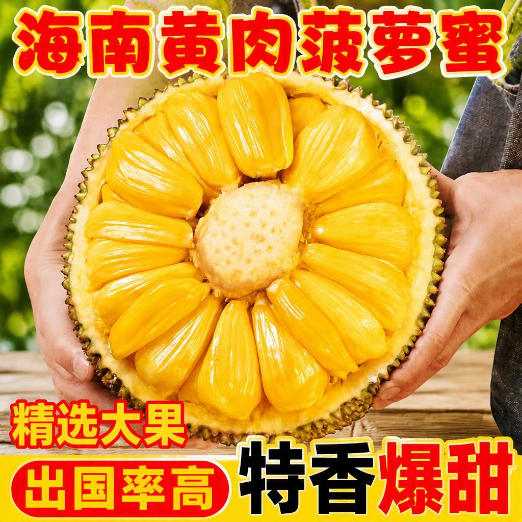 海南黄肉菠萝蜜新鲜水果当季现摘生鲜一整个波罗果肉大果热带香蕉