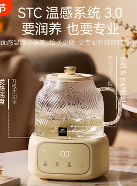 康宁养生壶玻璃壶体1L办公室煮茶花茶壶电热水壶（微瑕疵）