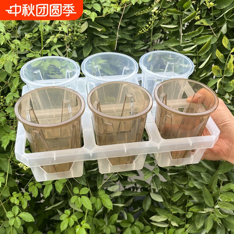 六格托架蝴蝶兰花托组合托架图片