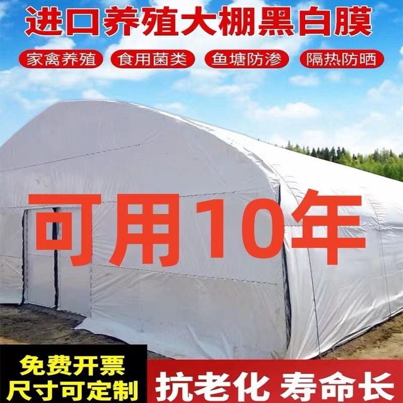 进口养殖大棚黑白膜加厚塑料膜降温遮阳防晒隔热反光食用菌大棚膜