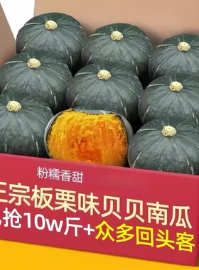 贝贝南瓜正宗板栗味新鲜9斤装宝宝辅食孕妇嫩南瓜甜糯小南瓜自提