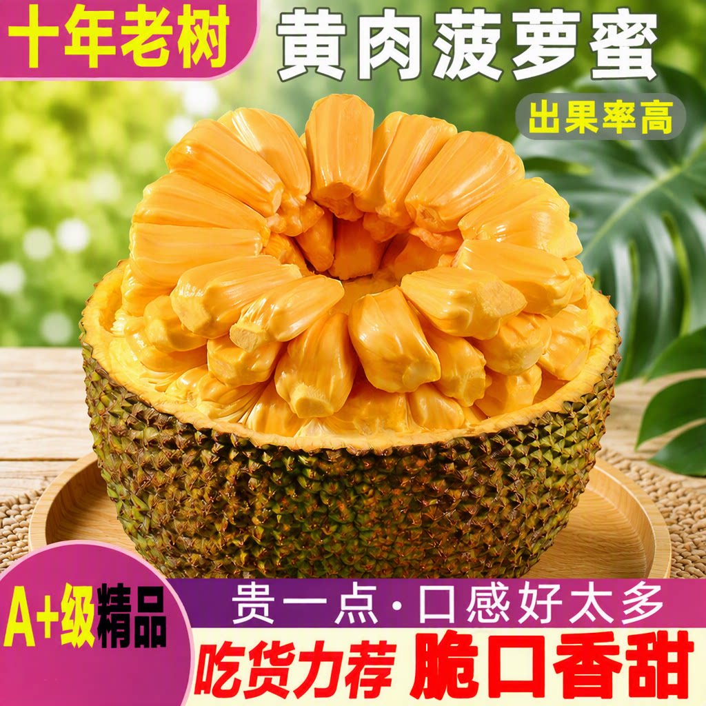 黄肉菠萝蜜三亚特产一整个海南新鲜水果波罗蜜整箱包邮热带大果