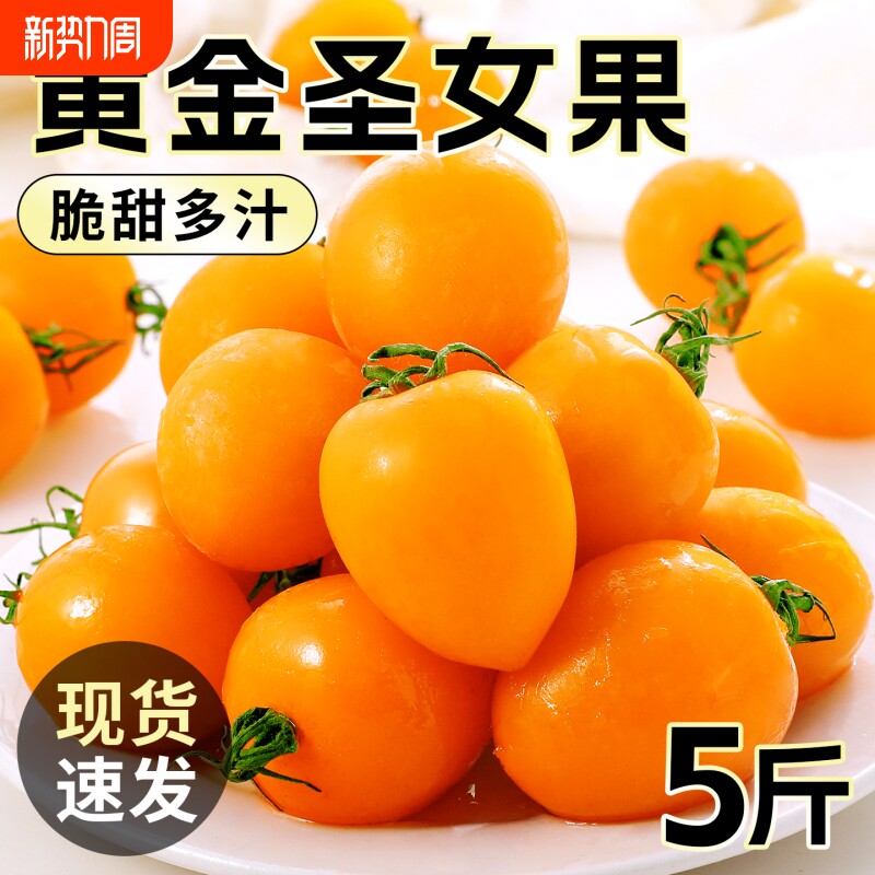 黄金圣女果自然熟小番茄千禧5斤当季新鲜农家蔬菜脆甜生吃水果