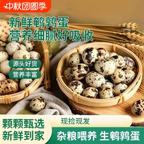 新鲜鹌鹑蛋50枚纸箱包装