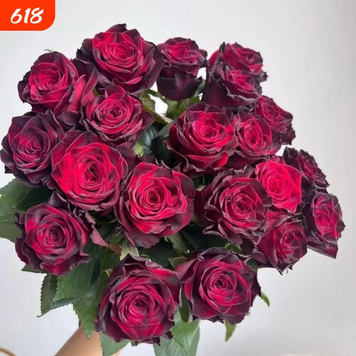 玫瑰花玫瑰老桩基地盆栽浓香型开花四季庭院阳台耐寒花卉室内