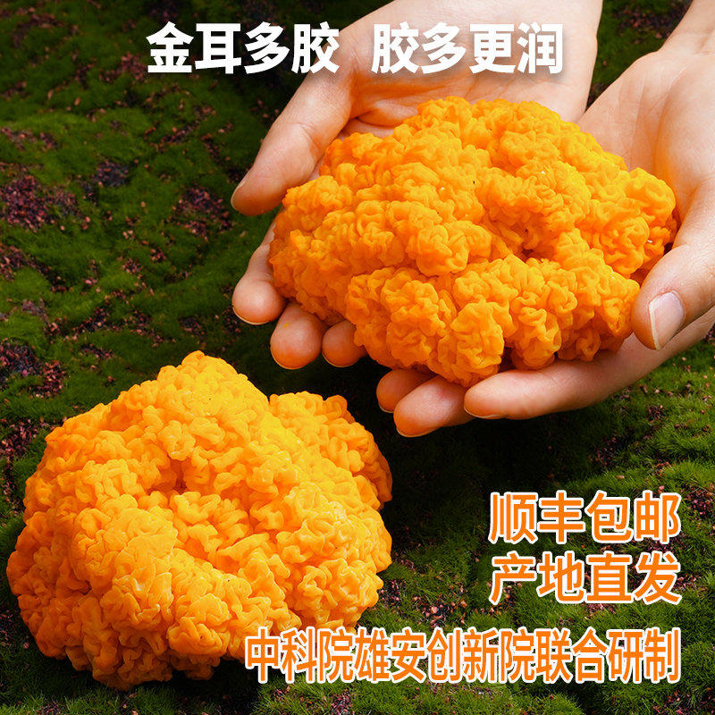 顺丰包邮新鲜金耳菌菇刺身火锅煲汤出胶满满高纤维低脂肪500g,水产肉类/新鲜蔬果/熟食,新鲜松茸/菌菇,淘宝优惠券,粉丝福利购,淘宝优惠卷