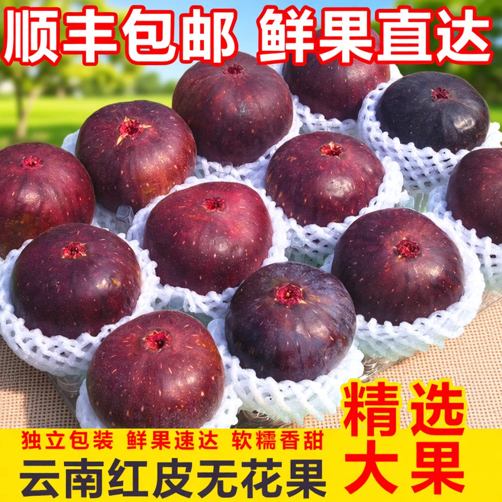 顺丰包邮云南新鲜无花果红皮鲜果孕妇儿童波姬红水果整箱现摘大果