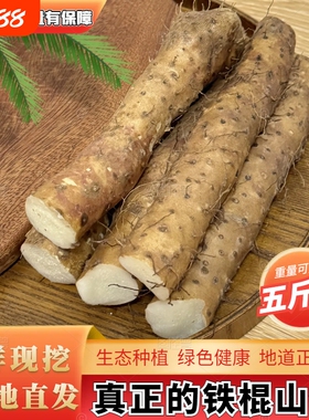 正宗焦作铁棍山药整箱小白嘴新鲜蔬菜垆土现挖农家自种绿色原产地