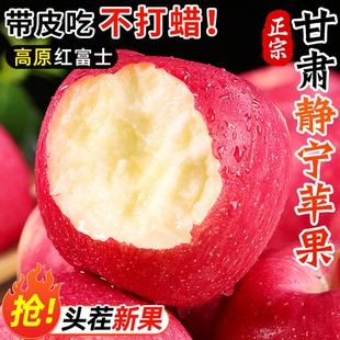 甘肃静宁苹果红富士丑苹果正宗冰糖心苹果新鲜水果当季 现摘多规格