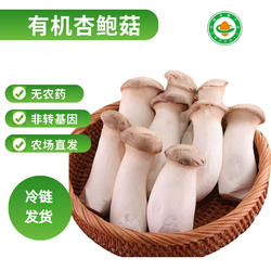 绿色蔬菜有机杏鲍菇新鲜食用菌菌菇蔬菜鸡腿菇蘑菇肉厚鲜嫩烹饪