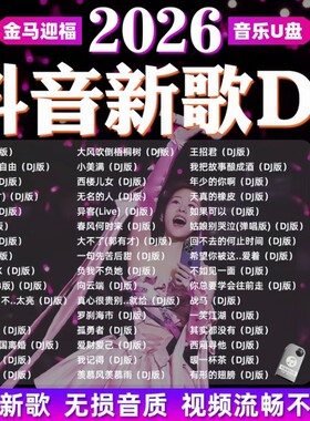 车载歌曲u盘2026抖音伤感流行DJ音乐热门劲爆dj新歌无损高音质mp3