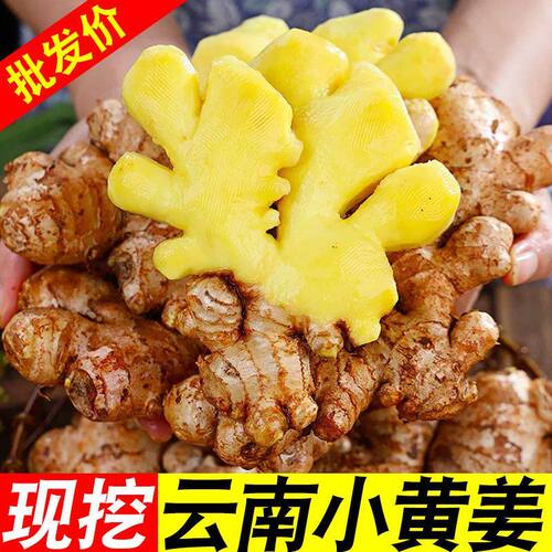 正宗云南小黄姜自种生姜鲜姜月子姜现挖嫩姜整箱批发大块小黄姜