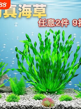 晓达仿真水草逼真美观入水成景