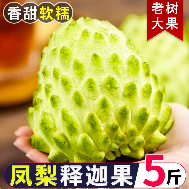 现摘当季新鲜凤梨牛奶番荔枝应季水果正宗释迦果佛头果整箱礼盒装